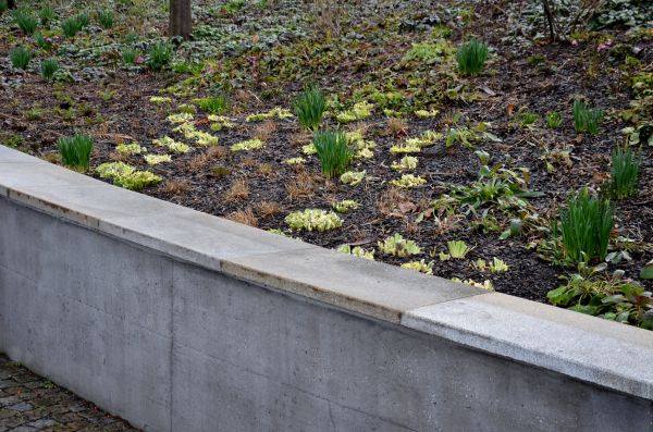 Concrete Wall Construction in Cheyenne