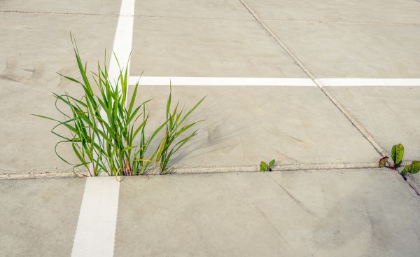 Concrete Parking Installation in Cheyenne