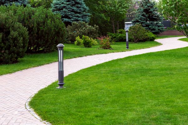 Backyard Sidewalk Installation in Cheyenne