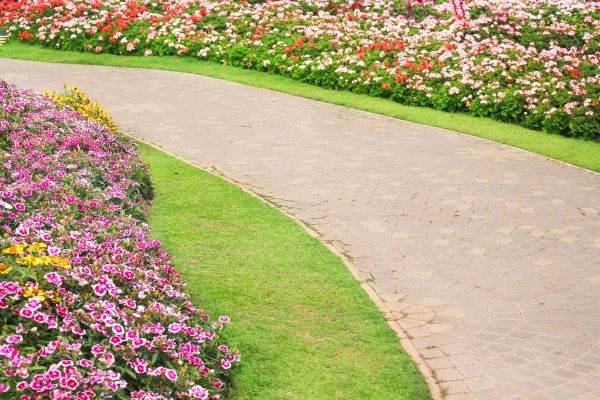Concrete Walkway Service in Cheyenne