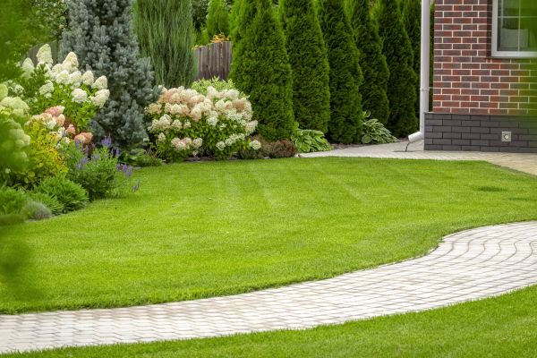 Landscape Walkway Installation in Cheyenne